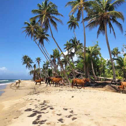 On the beach, sun loungers, beach towels