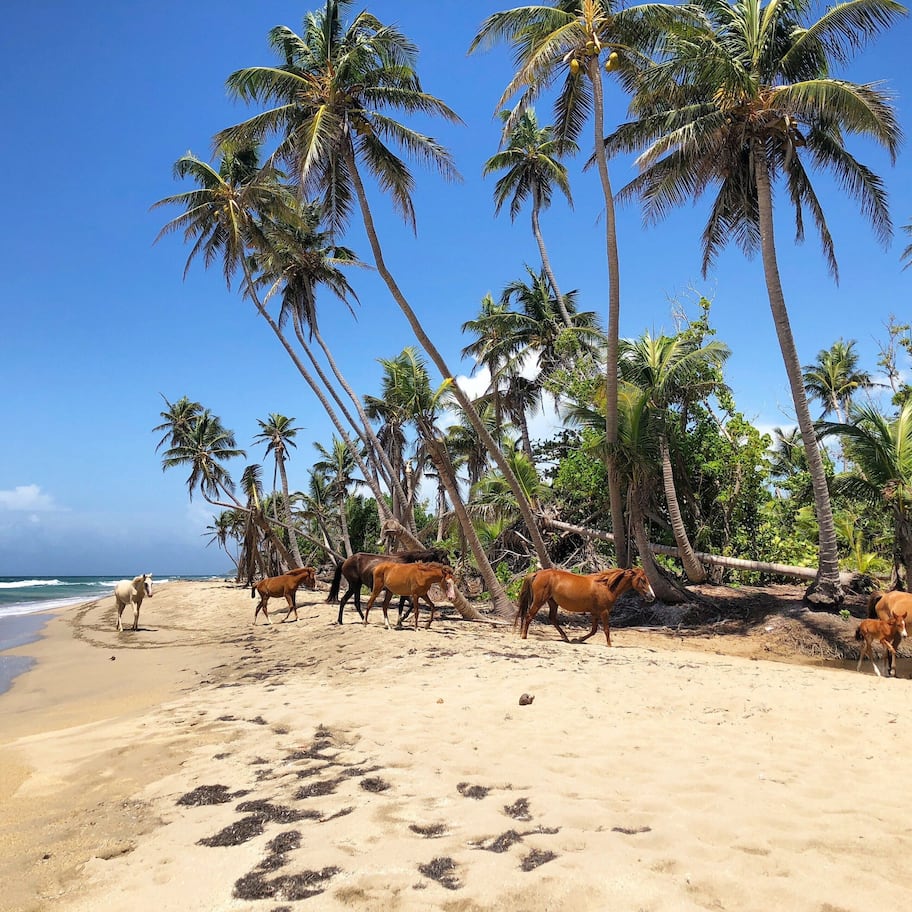 On the beach, sun loungers, beach towels