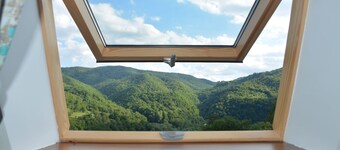 Traditional Transylvanian House