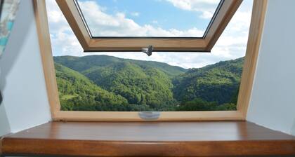 Perinteiset Transilvanian House