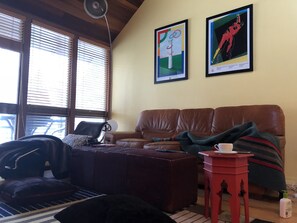 TV connectée, cheminée, livres, chaîne hi-fi