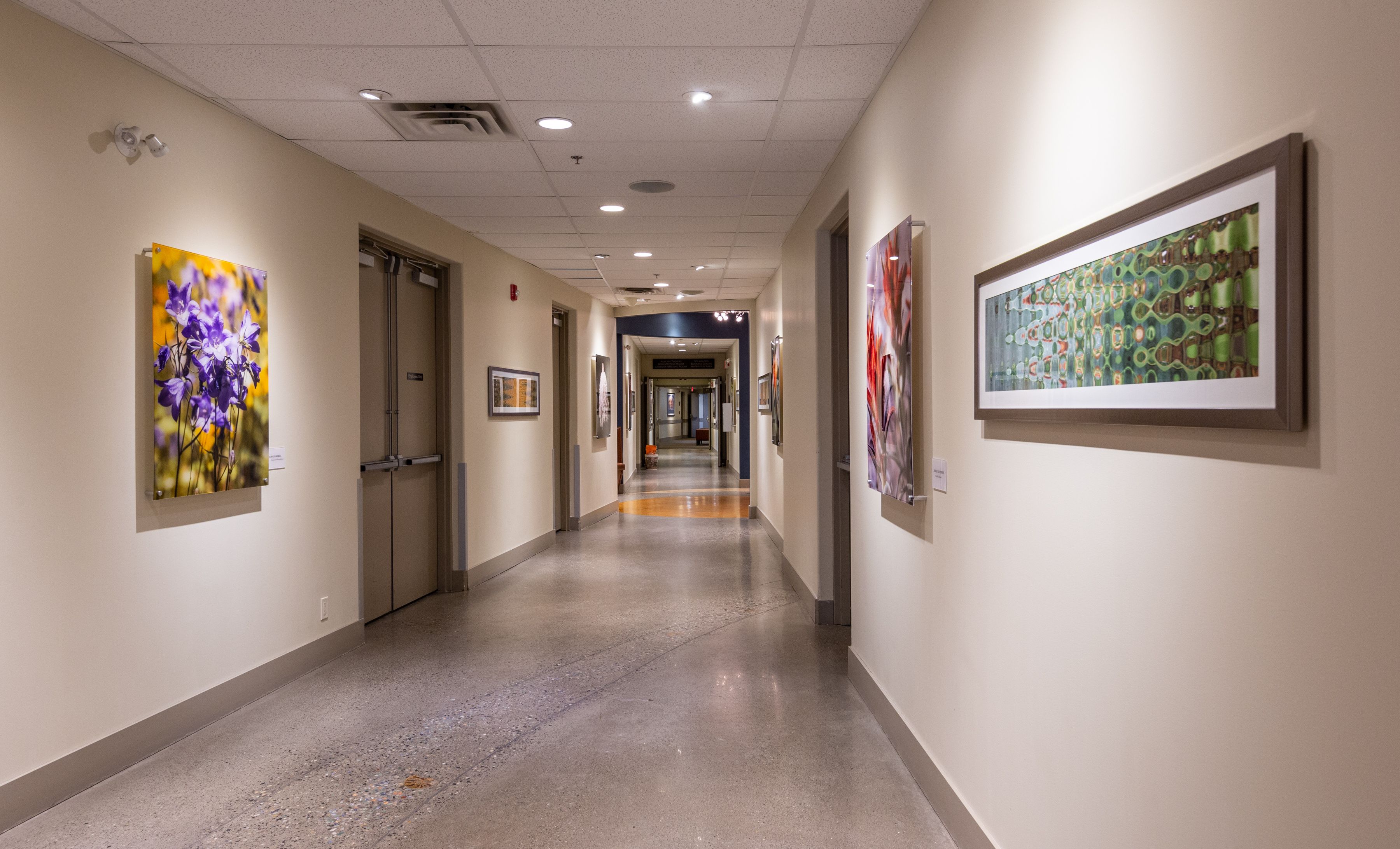 A hotel corridor with artwork on the walls and a polished floor.