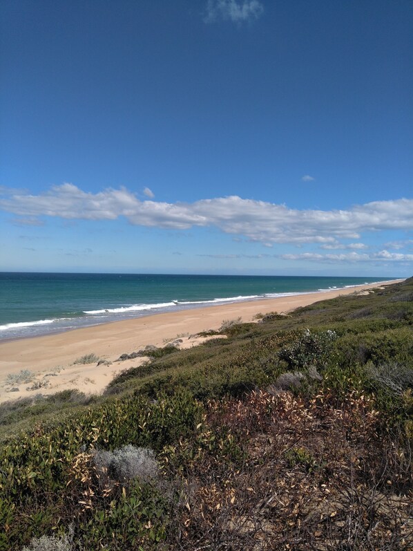 Beach nearby, sun-loungers - Symuya holiday house (Golden Beach)