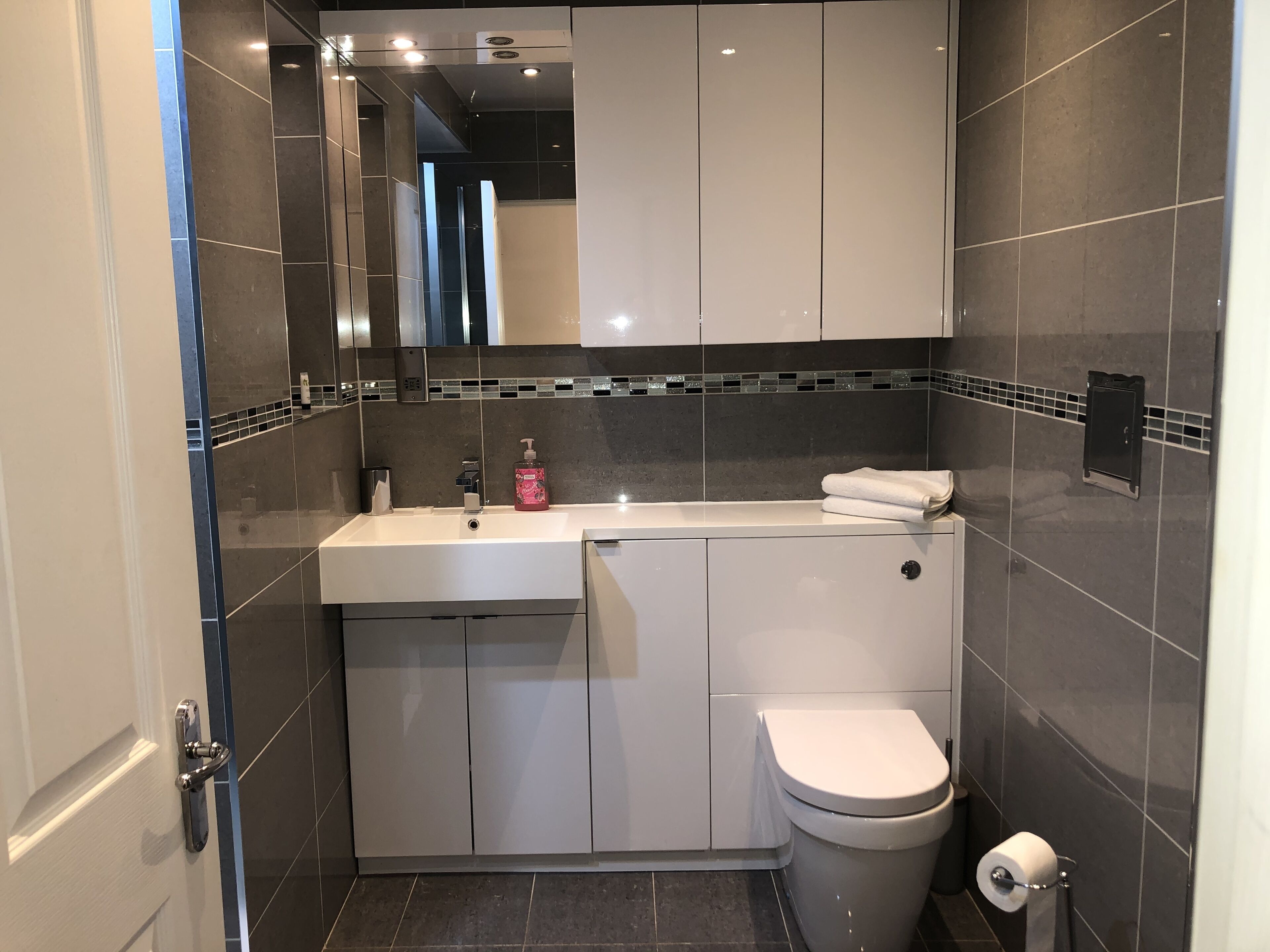 shower, free toiletries, hair dryer