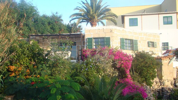 A building with a stone facade, green shutters, and a garden with various plants and flowers.