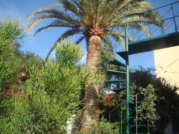 Uma palmeira, uma escadaria de metal esverdeada e diversas plantas.