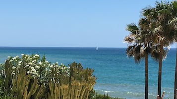 Vlak bij het strand, strandlakens