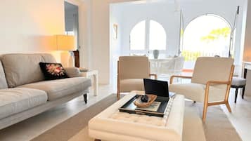 TV, lareira, DVD player, livros