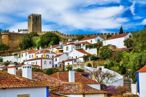 A historic town with white buildings, red-tiled roofs, and a prominent castle on a hill.