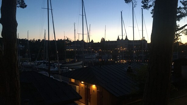 A marina with multiple sailboats docked, surrounded by buildings and trees.