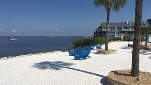 A beachfront with blue Adirondack chairs, a palm tree, and a building with a balcony.