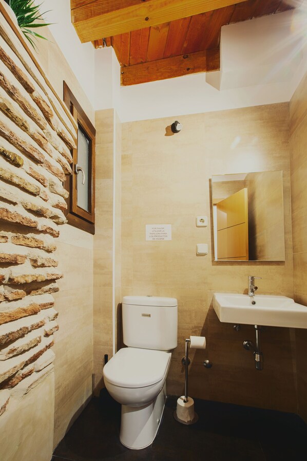 A bathroom with a stone wall, a toilet, a sink, and a mirror. - Duplex in the Jewish Quarter of Toledo (Toledo)