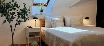 Apartamento - Wulfenia