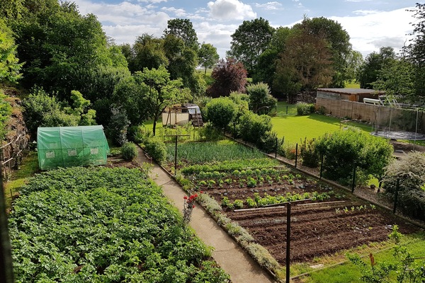 Jardines del alojamiento