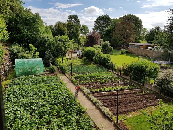 Property grounds - Gîte Ellerbach 3 *; 5 pers. 90m² - At the gates of Alsace and Northern Vosges (Schalbach)