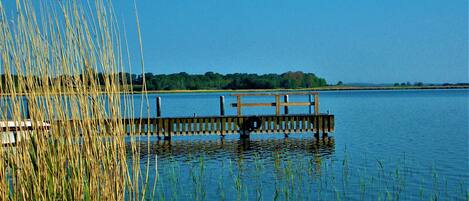 Lago