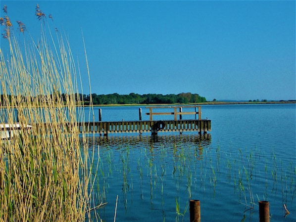 Meer