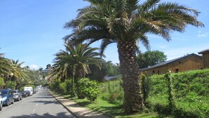 A street lined with palm trees and a building with a sloped roof. - Recent south-facing apartment 2 steps from the beach with private parking (Perros-Guirec)