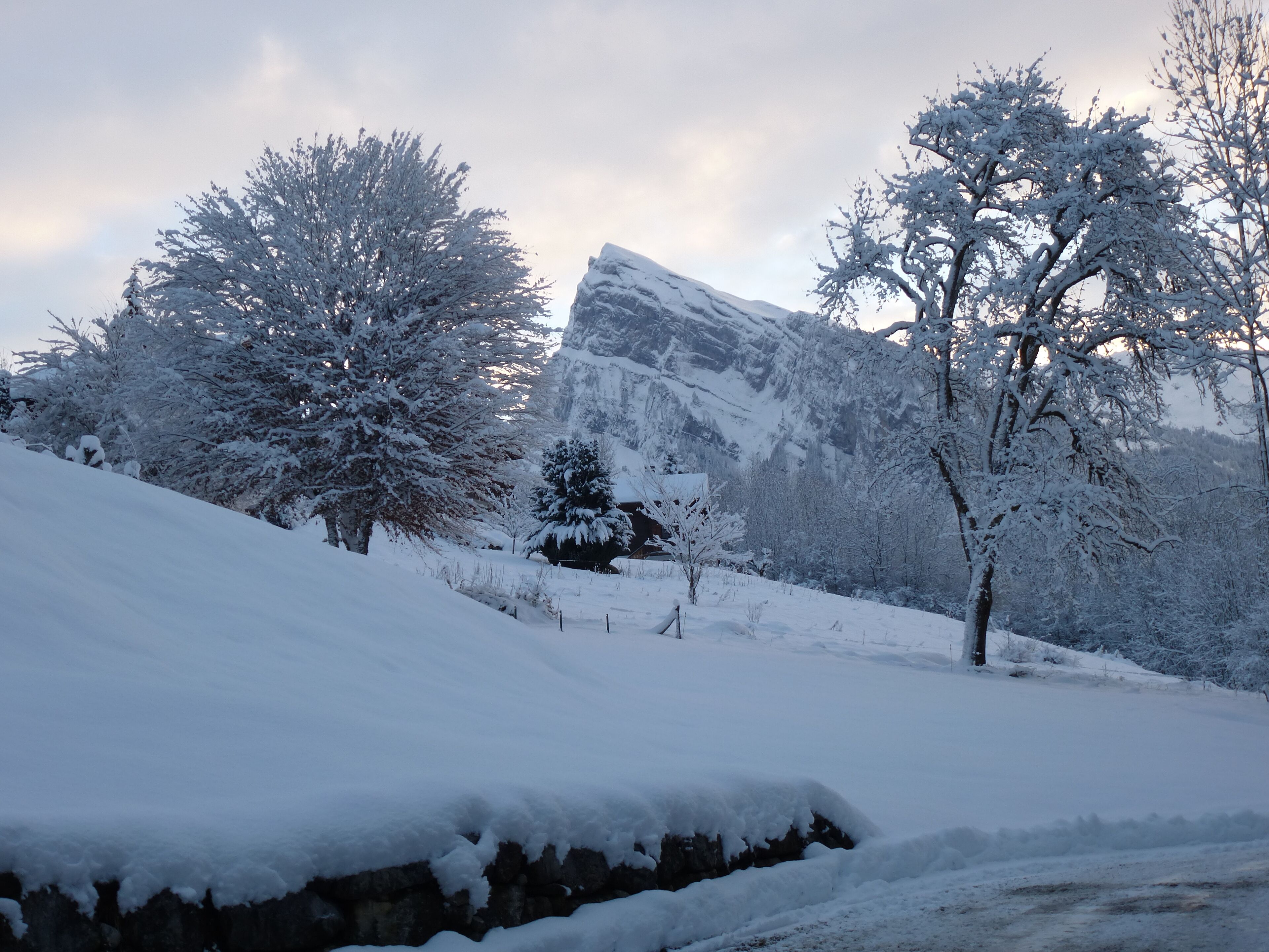 Paisaje nevado con una montaña, árboles y un muro de piedra.