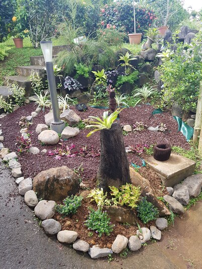 Charming apartment on the ground floor - Quiet and relaxing