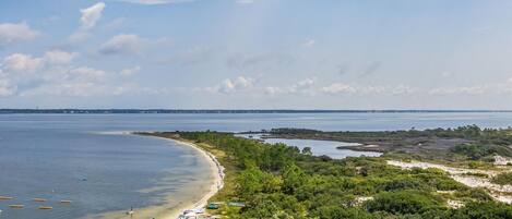 A beach with clear waters, a sandy shore, and a line of trees.