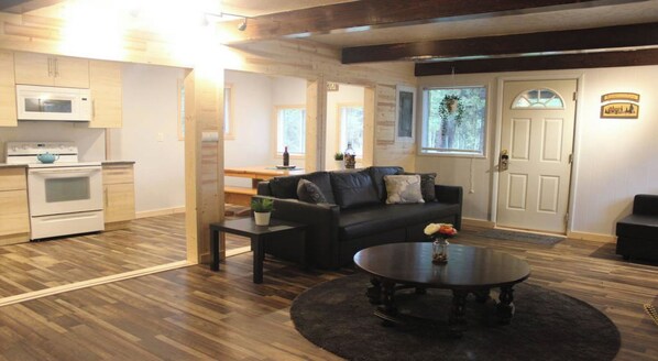 TV, fireplace, DVD player, video library