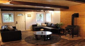 TV, fireplace, DVD player, video library