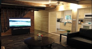 TV, fireplace, DVD player, video library