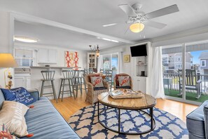 电视、DVD 播放器