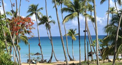Luxury Chic Playa Bonita Beachfront.