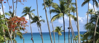 Luxury Chic Playa Bonita Beachfront.