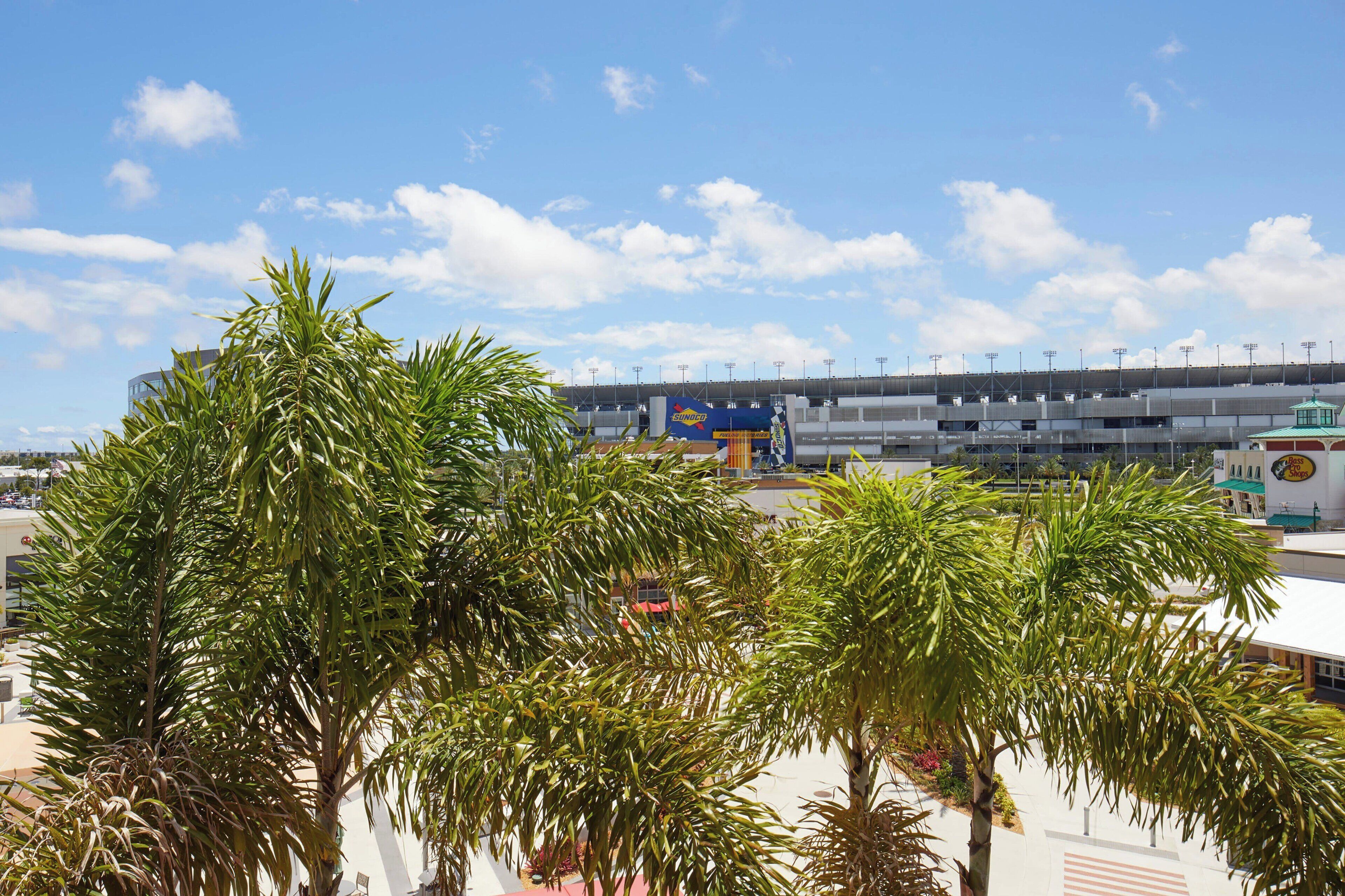 Un estadio con cielo despejado y palmeras al frente.