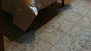 Een slaapkamer met twee bedden, wanddecoratie in de vorm van een boom, een lamp en een raam met gordijnen.