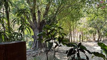 Uma área de jardim com plantas em vasos, um banco de madeira e piso de azulejos.