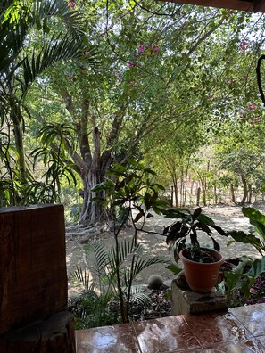 Exterior - Quinta mi Tata B&B (Sardinal)