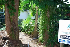 Property grounds - Rainforest Motel (Mission Beach)