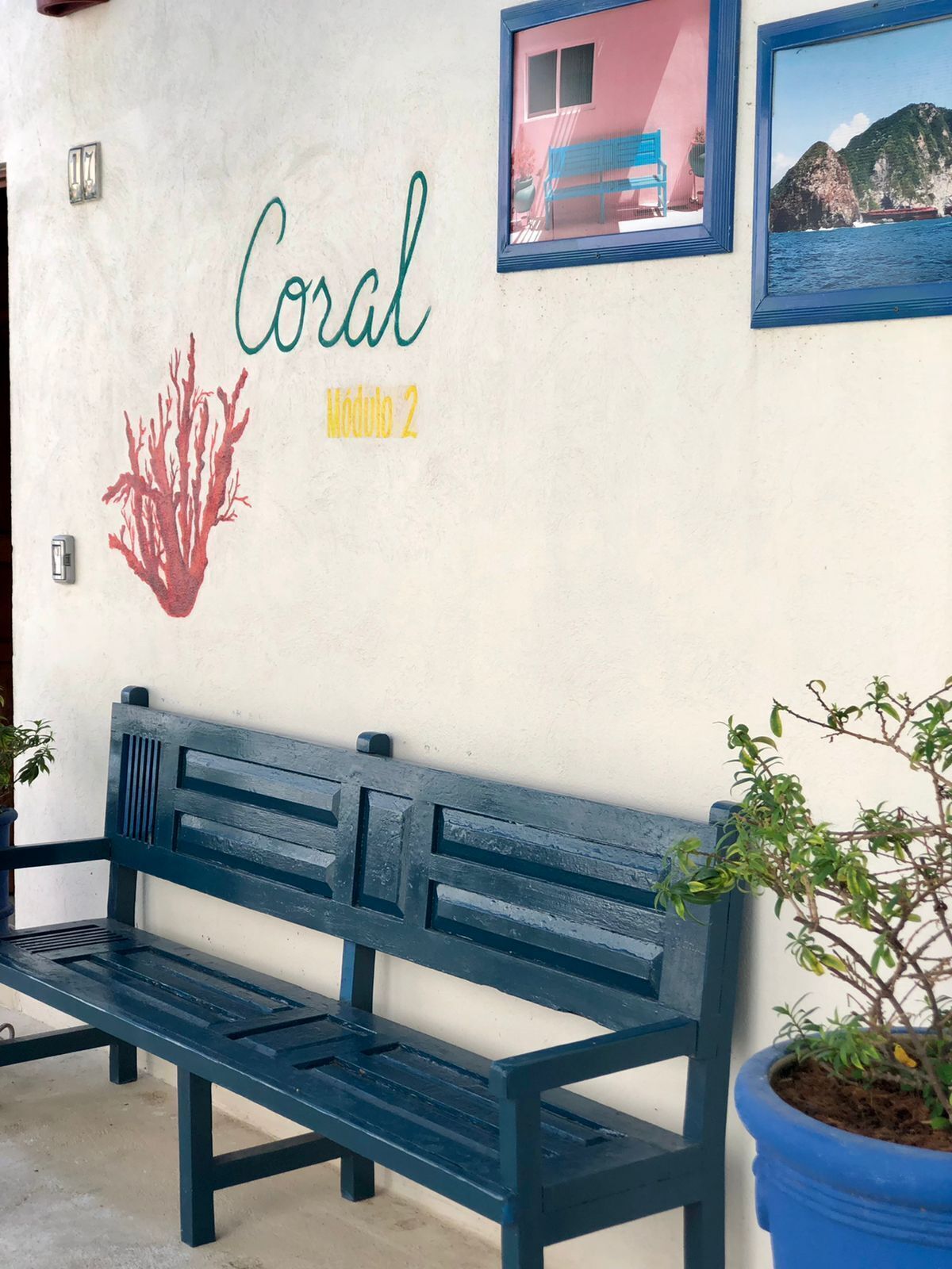 Un banco, una pared con un diseño de coral y texto, una planta en maceta y dos cuadros enmarcados.
