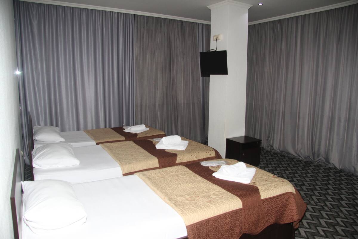Basic Triple Room, 1 Twin Bed, Accessible, Non Smoking | 1 bedroom, blackout drapes, WiFi (free), bed sheets
