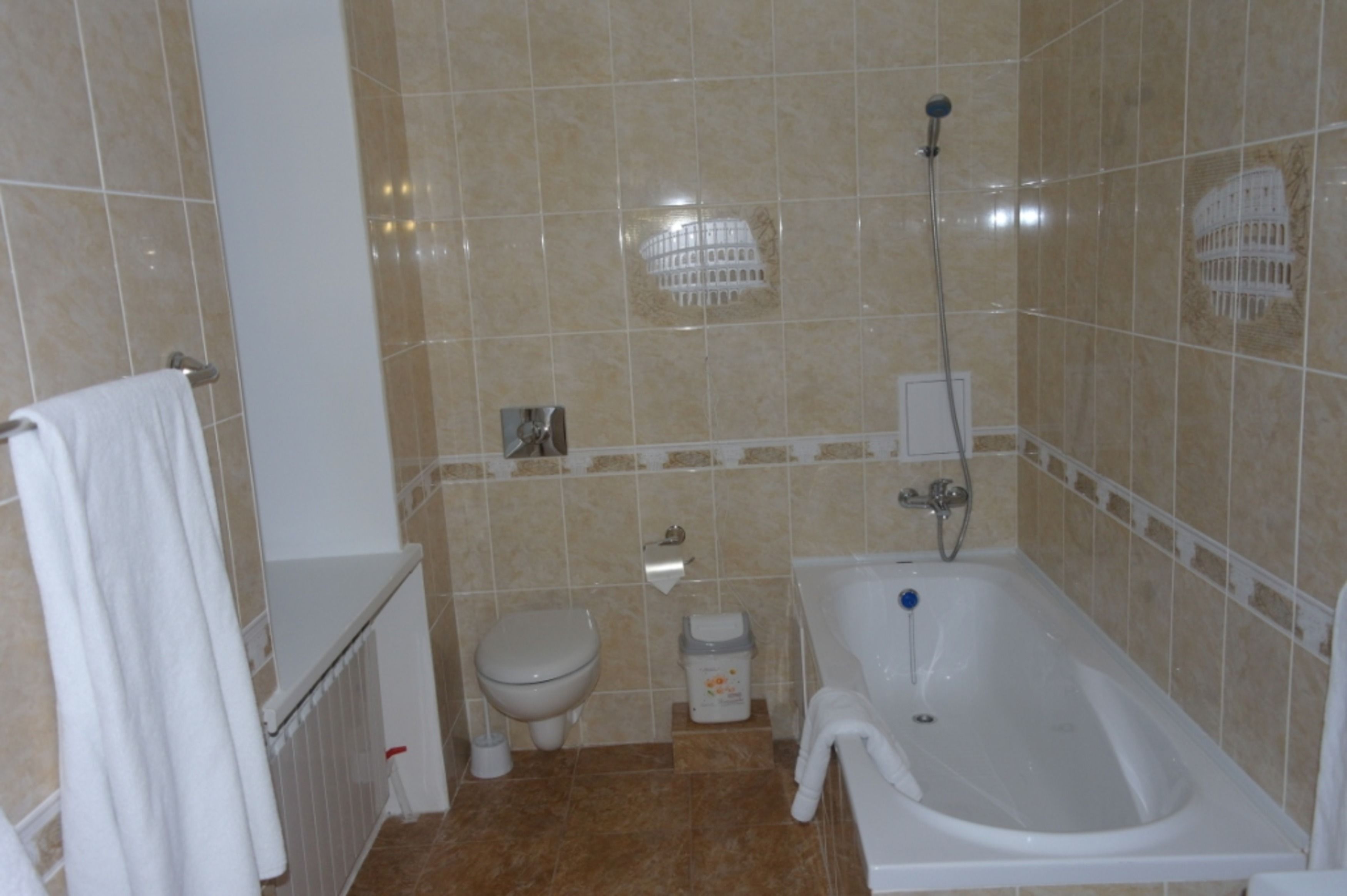 Foto - Sultan Beibarys