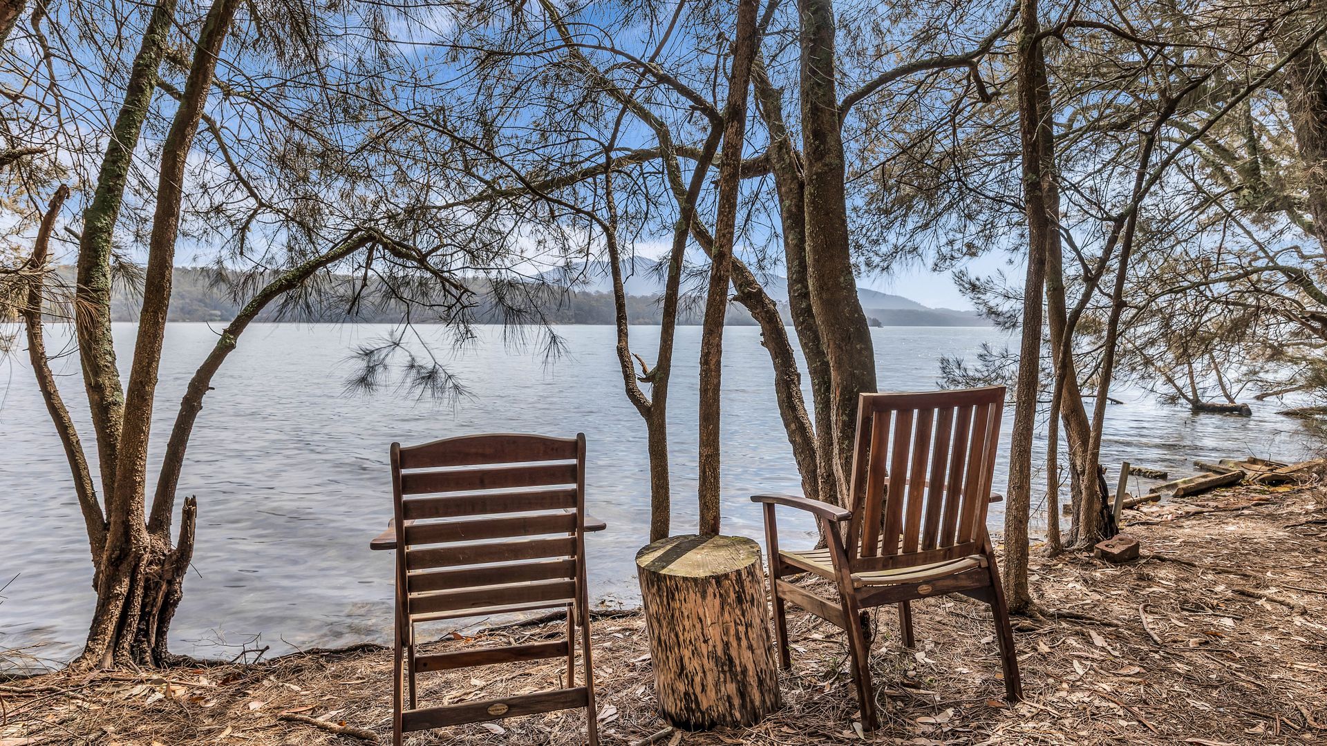 Two wooden chairs and a tree stump by a lake with trees and a distant view.