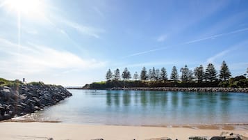 A beach with calm water, a rocky shoreline, and a line of trees in the background.