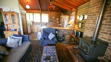 TV, fireplace, books