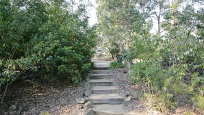 Una escalera de piedra que atraviesa un área boscosa.