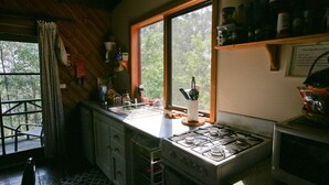 Una cocina con estufa a gas, un fregadero y ventana con vistas a un bosque.
