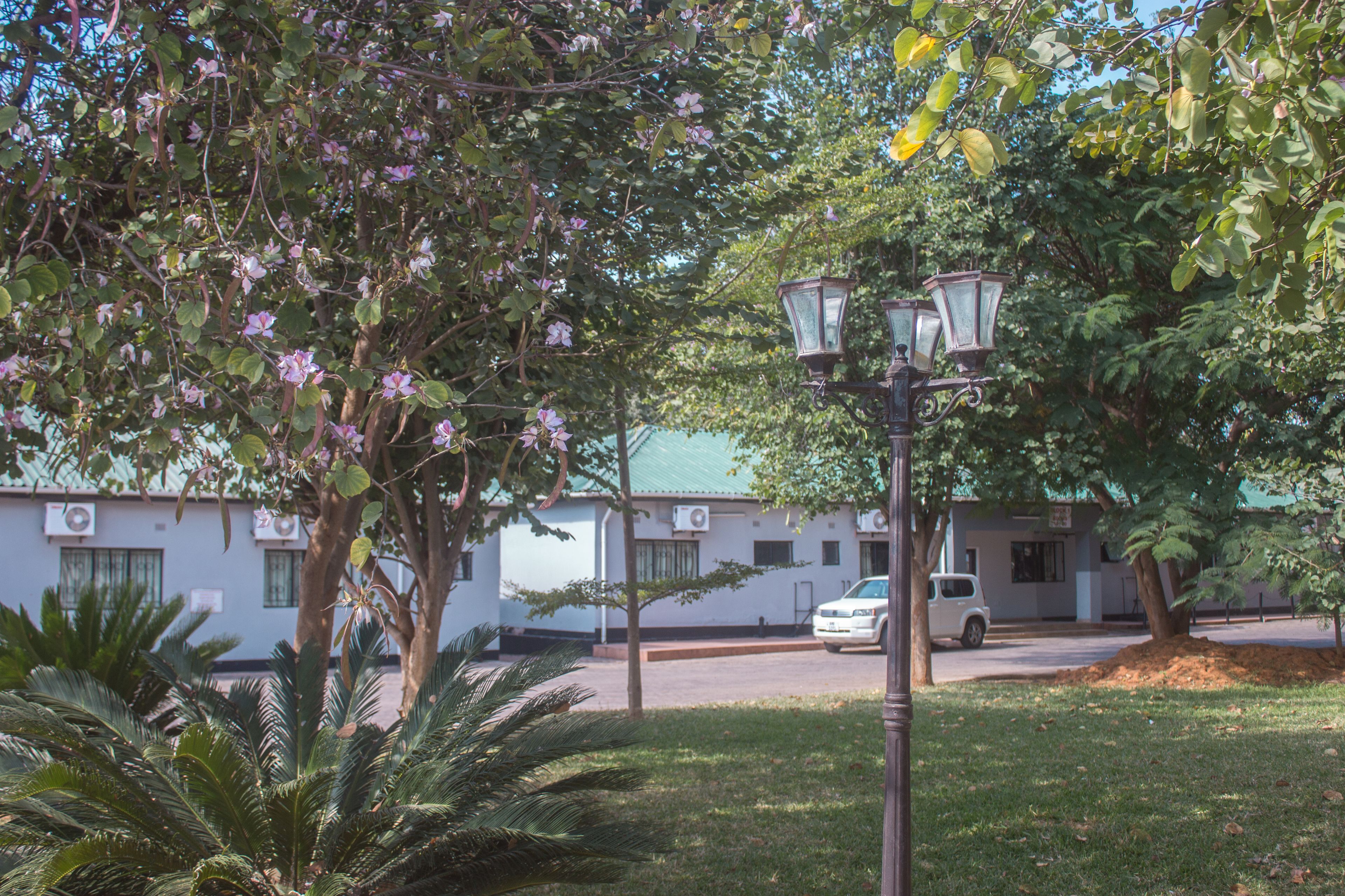 A building with a green roof, surrounded by trees and a white car parked in front.