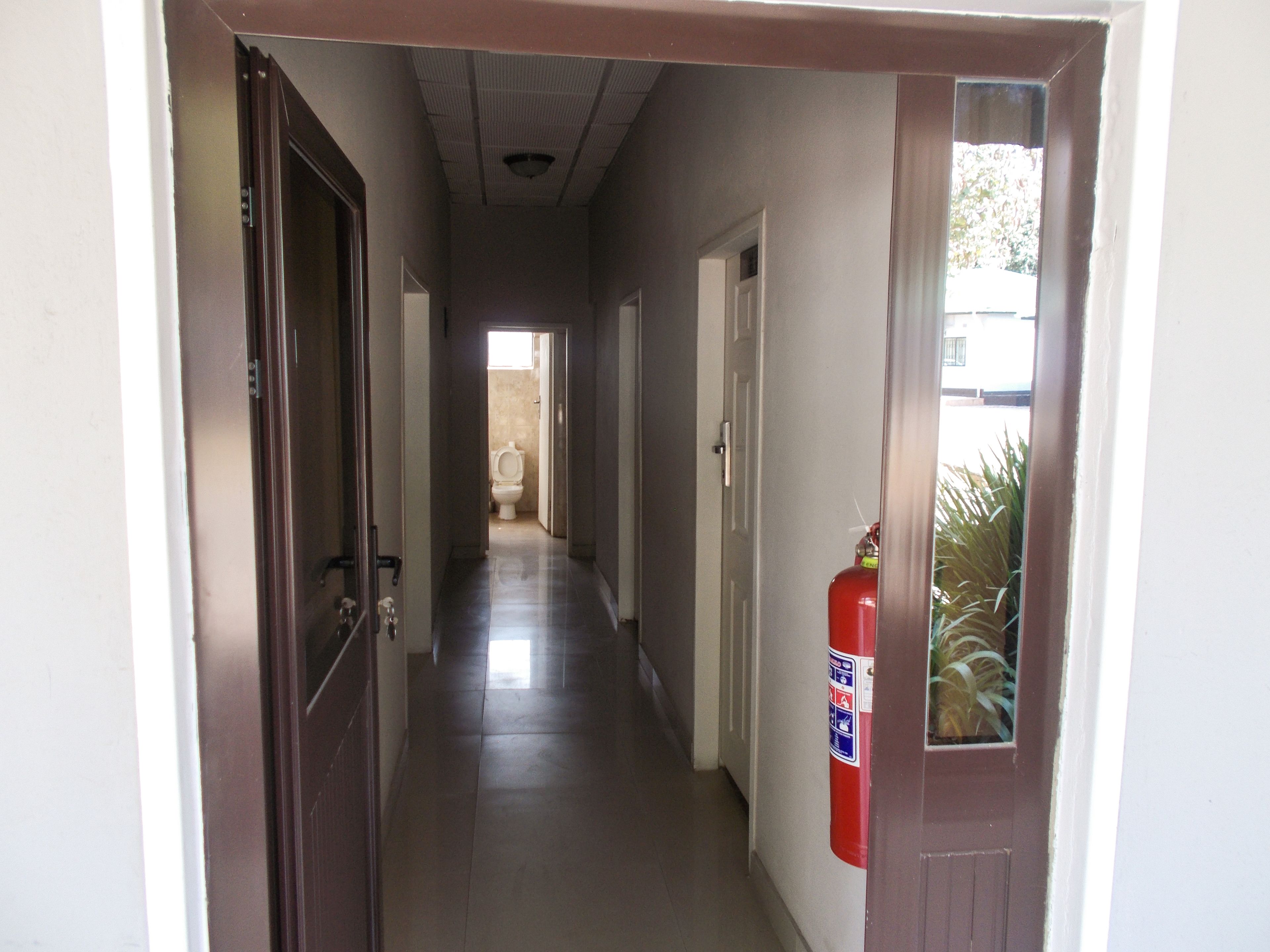 A hallway with doors, a fire extinguisher, and a window with plants.