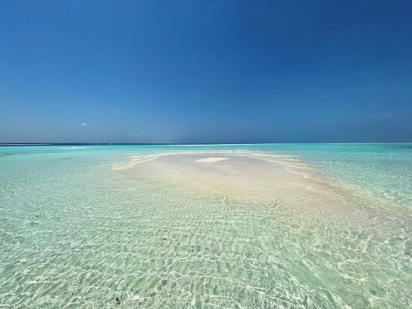 Private beach, white sand, free beach cabanas, sun-loungers - Amani Home Zanzibar (Kiwengwa)