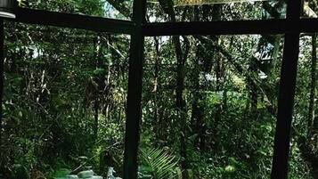 Hot stone massages, deep-tissue massages