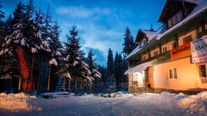 A snow-covered building with a wooden facade, surrounded by snow-laden trees. - Pensiunea Cabana Sestina (Lunca Bradului)