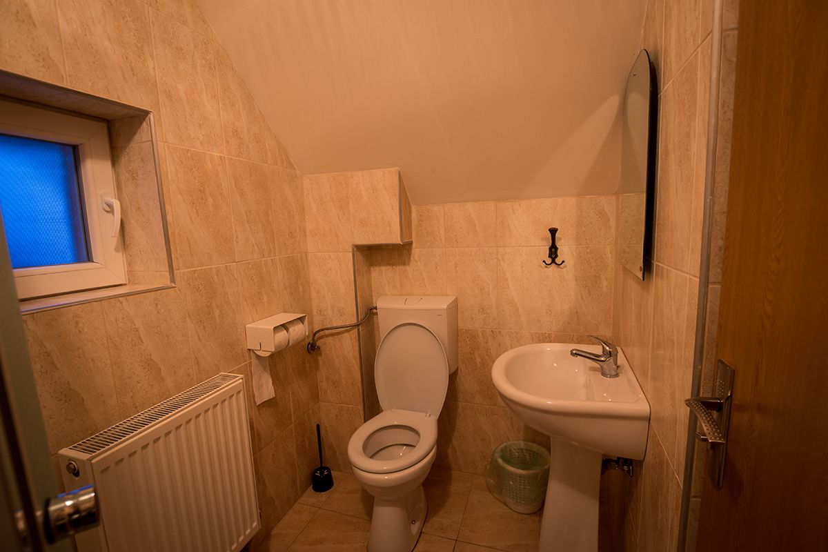 A small bathroom with a toilet, sink, and window.